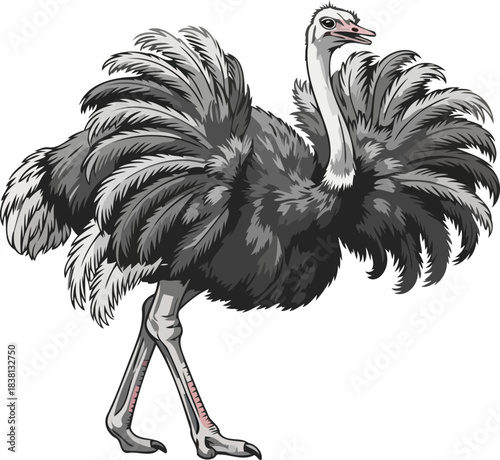 flightless grandeur a display of earths raw power and unstoppable presence, isolated on transparent background