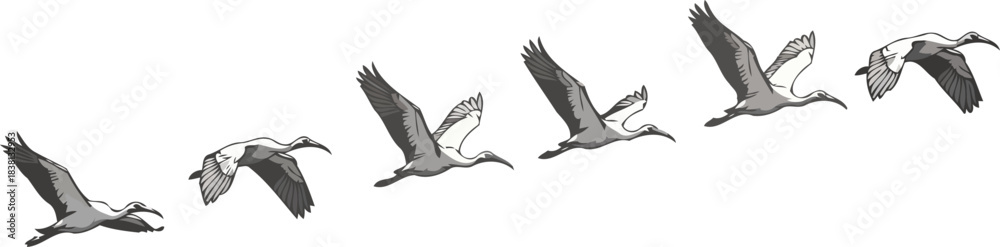 Obraz premium sequential mastery tracing the epochal path from earthbound to ethereal flight, isolated on transparent background