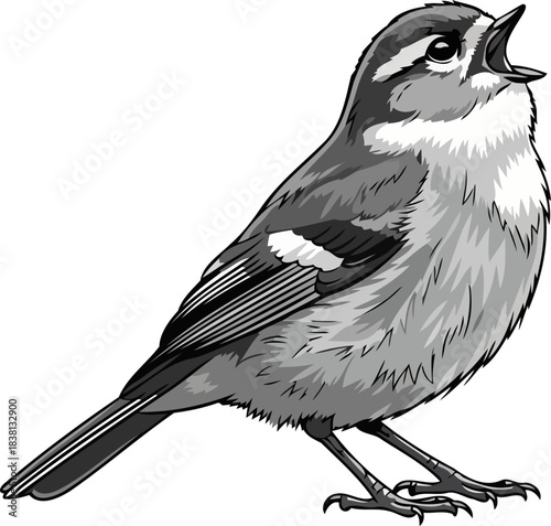 monochrome melody art capturing natures avian anthem, isolated on transparent background