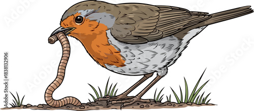 mornings sweet reward a robins determined quest secures natures freshly foraged meal, isolated on transparent background