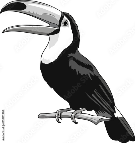 grayscale tropic call stylized toucans bold vocalization, a modern jungle icon, isolated on transparent background