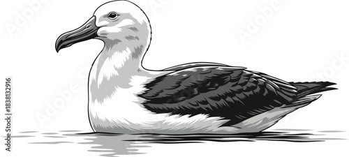 oceanic navigator serene grace of a high seas wanderer in monochrome, isolated on transparent background