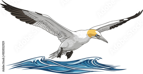 ocean wanderer majestic seabird soars above dynamic waves in coastal flight, isolated on transparent background