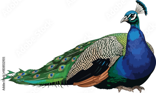 prismatic glory a striking vision of natures most magnificent feathered icon, isolated on transparent background