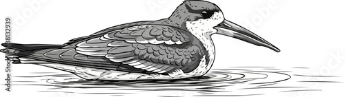 ripple whisperer natures quiet interaction with serene aquatic surfaces, isolated on transparent background