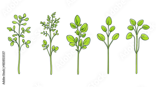 Vegetable Sprouts Icon Pack, Nature Illustration, White Background, Line Art Design, Greenery, Minimalist Style