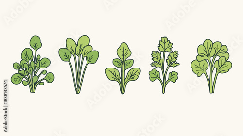 Healthy Green Vegetable Sprouts Icon Pack on White Background for Design Inspiration