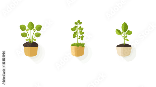 Vegetable Sprouts in Pots on White Background, Illustration, Minimalistic Style