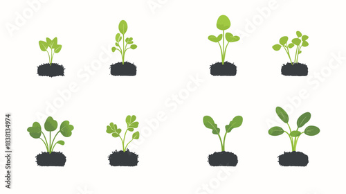Illustration of Vegetable Sprouts on White Background for Gardening Inspiration
