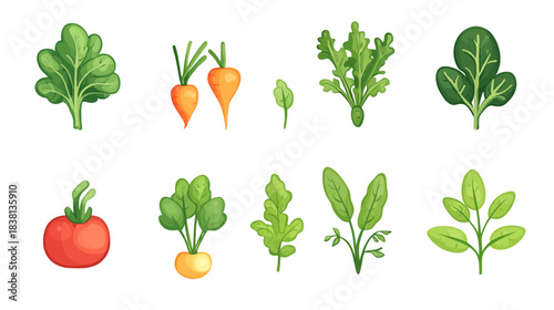 Fresh Produce Icons on White Background