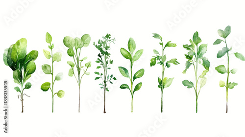 Minimalist Sprouting Vegetables Icons Illustrating Fresh Produce on White Background