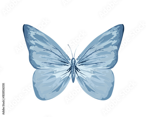 WATERCOLOR hand drawn design vector 