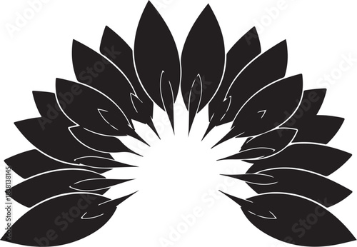 Black abstract fan of leaves on white background botany
