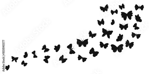 Silhouette butterflies flying on white background. Elegant black butterfly shapes. Vector illustration.
