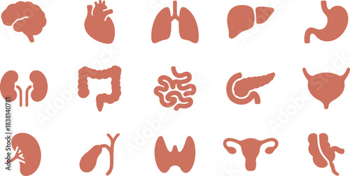 ICON SET OF HUMAN ORGANS