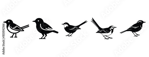 wiggly wagtail silhouette icon set. Animals icons collection. Animal silhouette icons. Isolated on White background