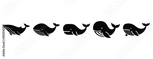 wiggly whale silhouette icon set. Animals icons collection. Animal silhouette icons. Isolated on White background