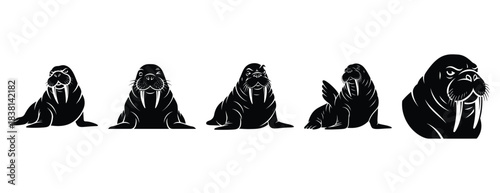 witty walrus silhouette icon set. Animals icons collection. Animal silhouette icons. Isolated on White background