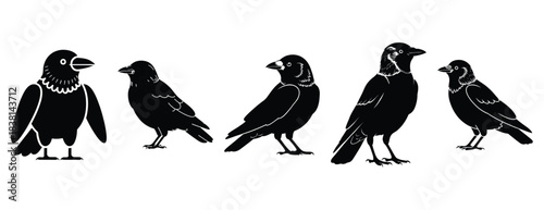 jolly jackdaw silhouette icon set. Animals icons collection. Animal silhouette icons. Isolated on White background