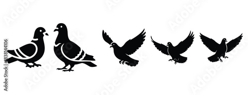 playful pigeon silhouette icon set. Animals icons collection. Animal silhouette icons. Isolated on White background