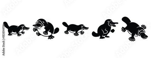 playful platypus silhouette icon set. Animals icons collection. Animal silhouette icons. Isolated on White background