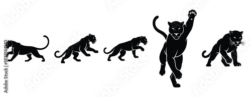 prancing panther silhouette icon set. Animals icons collection. Animal silhouette icons. Isolated on White background
