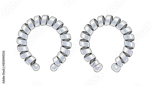 Dynamic Duo of Chrome Coils: A Modern Abstraction of Intertwined Metallic Forms