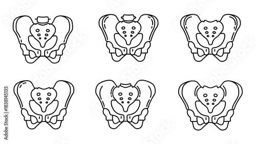 Seamless pattern of human pelvis bone outline in white backdrop for medical and anatomical