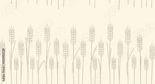 Stylized linear pattern of wheat stalks and grain ears against a light background, evoking agriculture and nature with a hand-drawn feel.