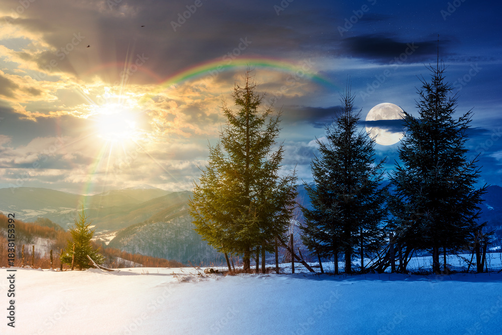 Fototapeta premium fir trees on the snowy meadow in winter. day and night time change concept. alpine countryside scenery in mountains with sun and moon at twilight. wonderful weather, harmony and progress calendar