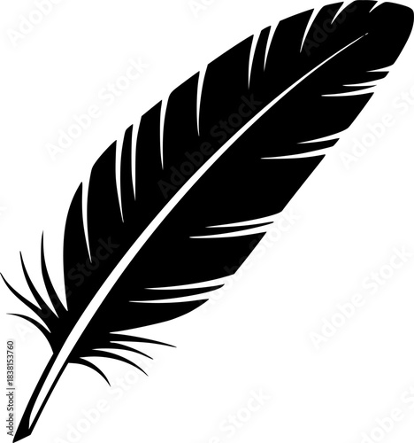 Feather Vector Silhouette Illustration