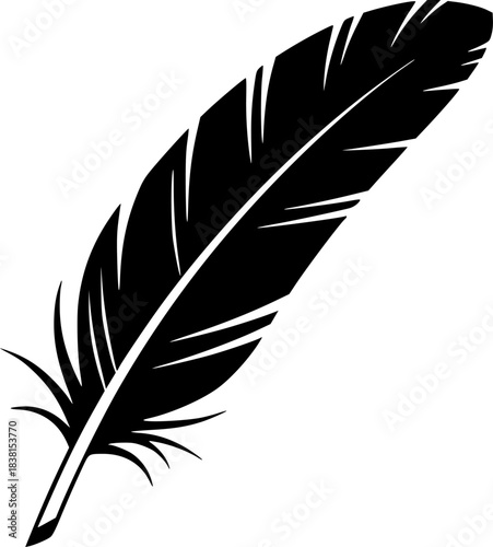Feather Vector Silhouette Illustration