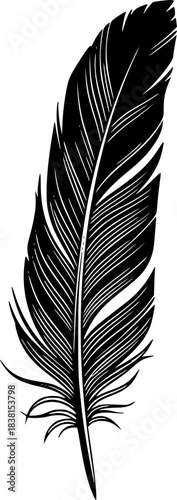 Feather Vector Silhouette Illustration