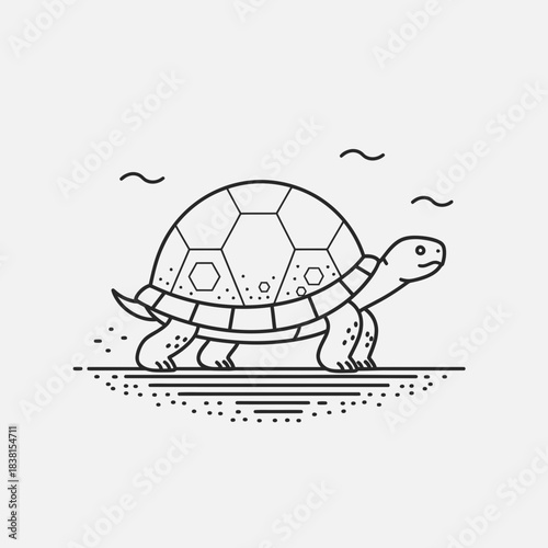 turtle on a white background