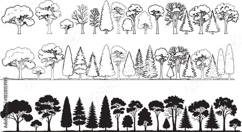 Detailed black and white silhouette illustration of various tree types in a landscape