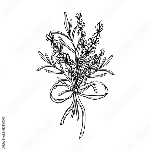 Monochrome Lavender or rosemary flowers bouquet tied ribbon vector isolated illustration. Aromatic blooming herbs line art black ink sketch. For wedding invitations, spa and wellness herbal product