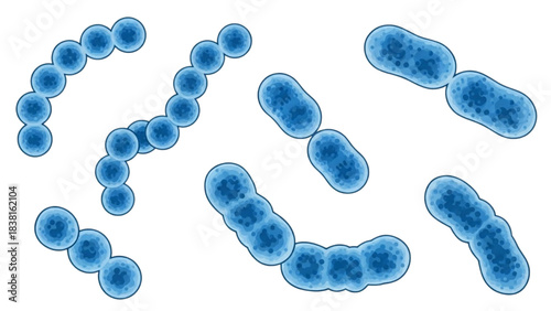 Microscopic View of Streptococcus Bacteria in Blue, Science Illustration of Pathogenic Microorganisms