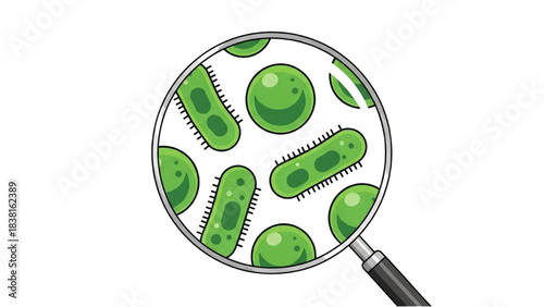Green Bacteria Under Magnifying Glass in Science Illustration