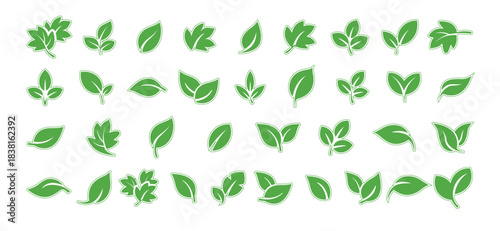 Green leaf natural icon set and leaves collection elements eco bio labels transparent background