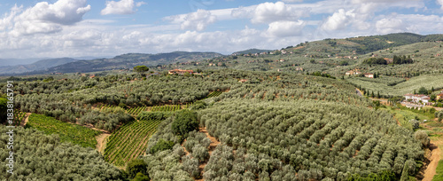 countryside vineyards and olive groves to the north of the town of vinci in tuscany italy sunny day no people elevated panoramic view