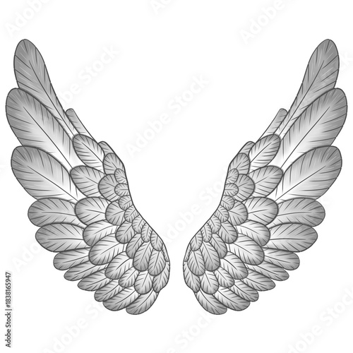 Isolated gradient angel wings
