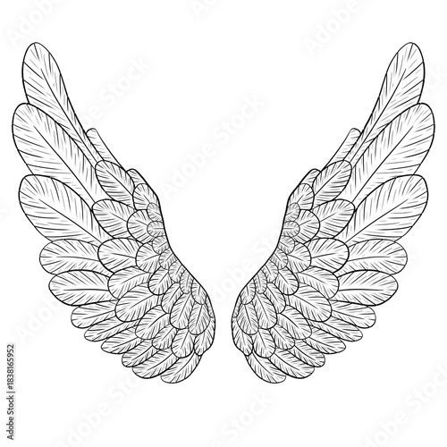 Isolated angel wings