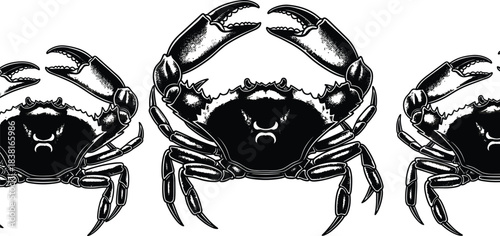 Black and White Crabs Vector Illustration, Set of Three Marine Life Crustaceans, Coastal Seafood Design Element, Wildlife Art, Ocean Animals, Editable EPS File.