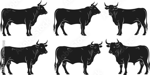 Black silhouettes of horned cows, bulls, and steers in various poses, standing and viewed from side and front, isolated cattle vector illustration set for farm animal design, logo, or stamp.