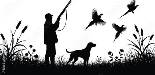 Hunter with gun and dog pheasant bird hunting silhouette landscape vector illustration, outdoor sport activity, field recreation, aiming to shoot fowl in tall grass reeds.