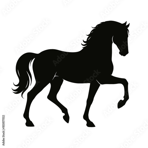 Black vector silhouette illustration of a running wild mustang horse with a flowing mane and tail isolated on white