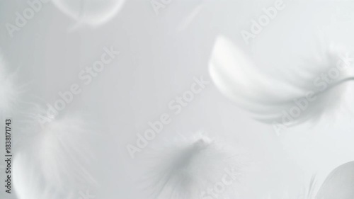 Macro shot of feathers floating in the air