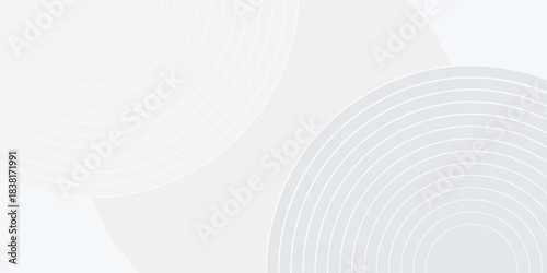 White geometric abstract background overlap layer on bright space with lines effect decoration. Modern graphic design element circles style concept for banner.