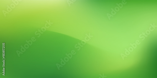 abstract green gradient color background with blank smooth and blurred multicolored style for website banner and paper card decorative graphic design. vector illustration