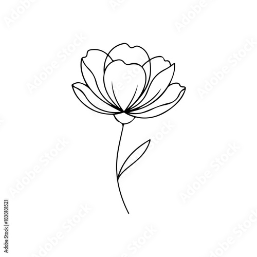 Simple hand drawn line art of a blooming peony flower on a long stem